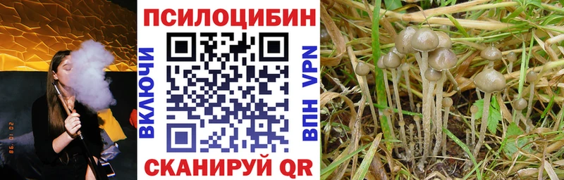где купить   ОМГ ОМГ вход  Галлюциногенные грибы мухоморы  Чаплыгин 